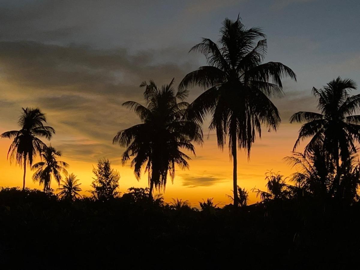 Shamar Guesthouse & Dive Maamigili Island Luaran gambar