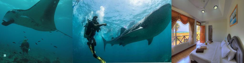 Shamar Guesthouse & Dive Maamigili Island Luaran gambar