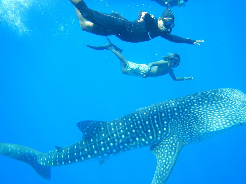 Shamar Guesthouse & Dive Maamigili Island Luaran gambar