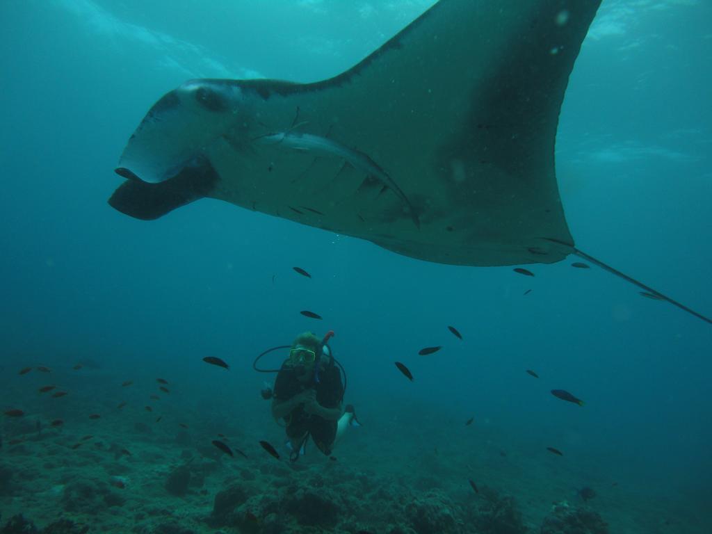 Shamar Guesthouse & Dive Maamigili Island Luaran gambar